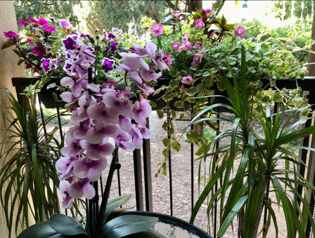 Residence Villa Alba Room Nr 221 Gardone Riviera Kültér fotó